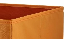 Aufbewahrungsbox | Orange -Default Template store 10562551 4 202202252232