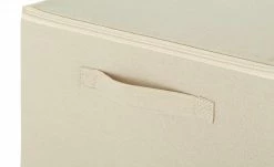 Aufbewahrungsbox | Creme -Default Template store 10562815 4 202201141239